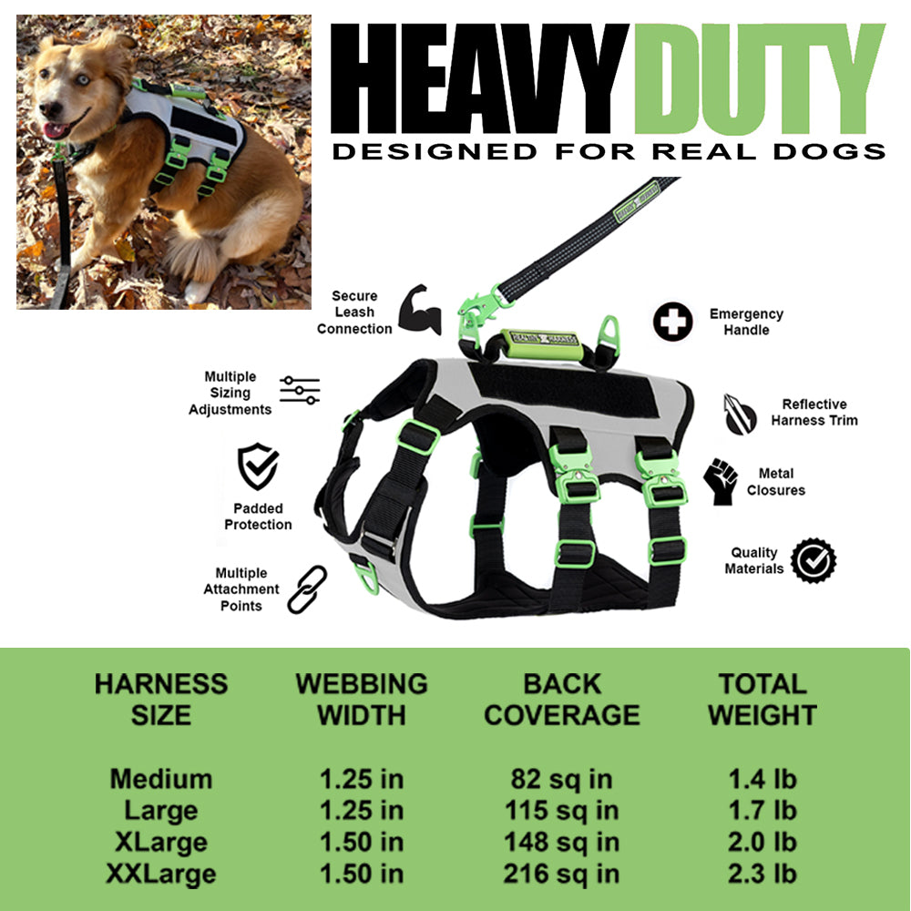 ABSOLUTE ADVENTURE Harness