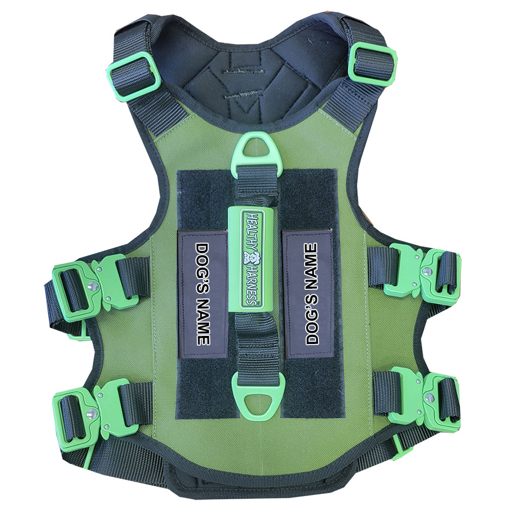Healthy Harness CUSTOMIZATION