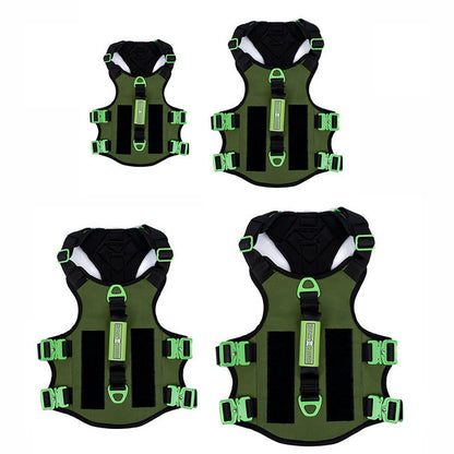 ABSOLUTE ADVENTURE Harness