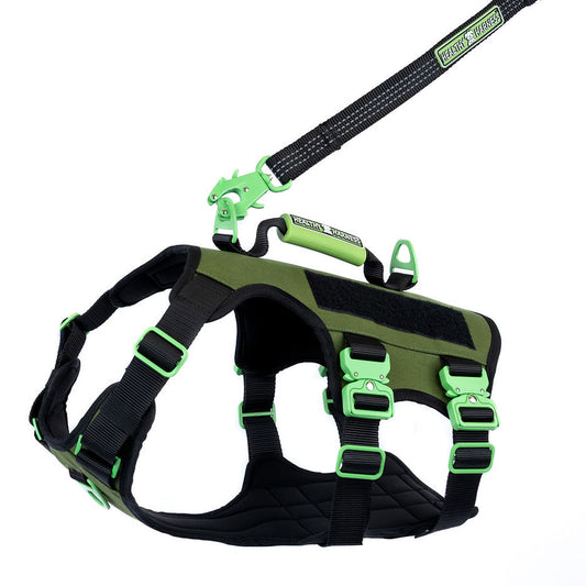 ABSOLUTE ADVENTURE Harness