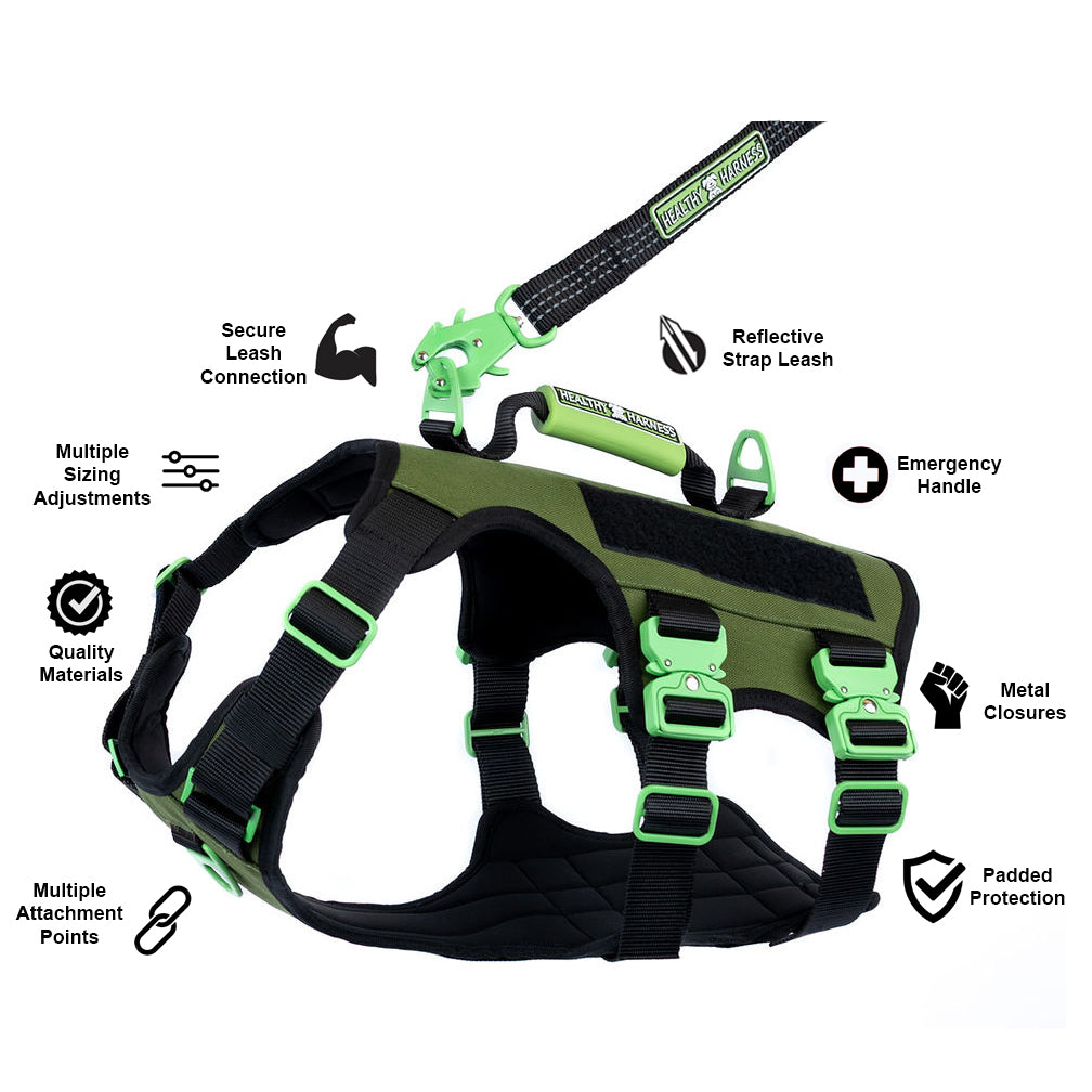 ABSOLUTE ADVENTURE Harness