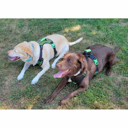 SUPREME SPORTS DOG HARNESS with FREE LEASH