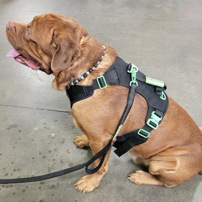 SUPREME SPORT Harness and FREE LEASH
