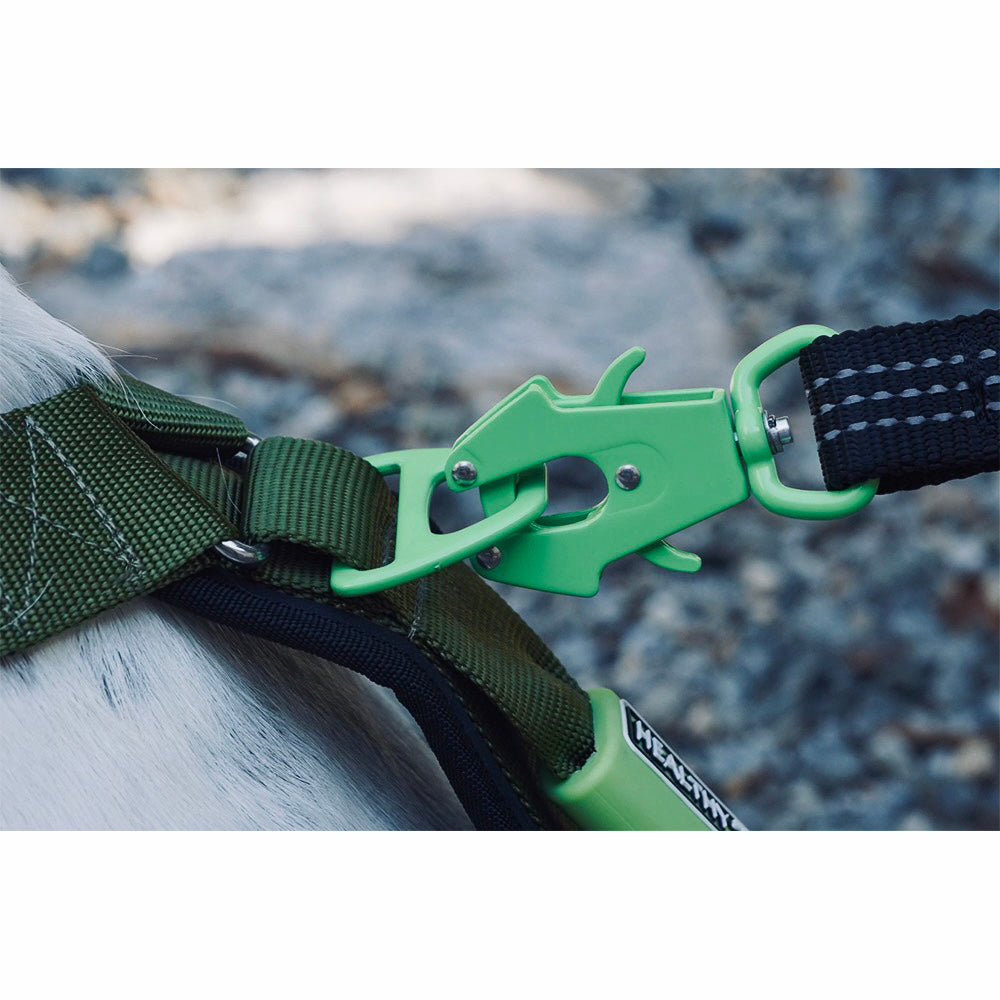 Healthy Harness ROPE LEASH