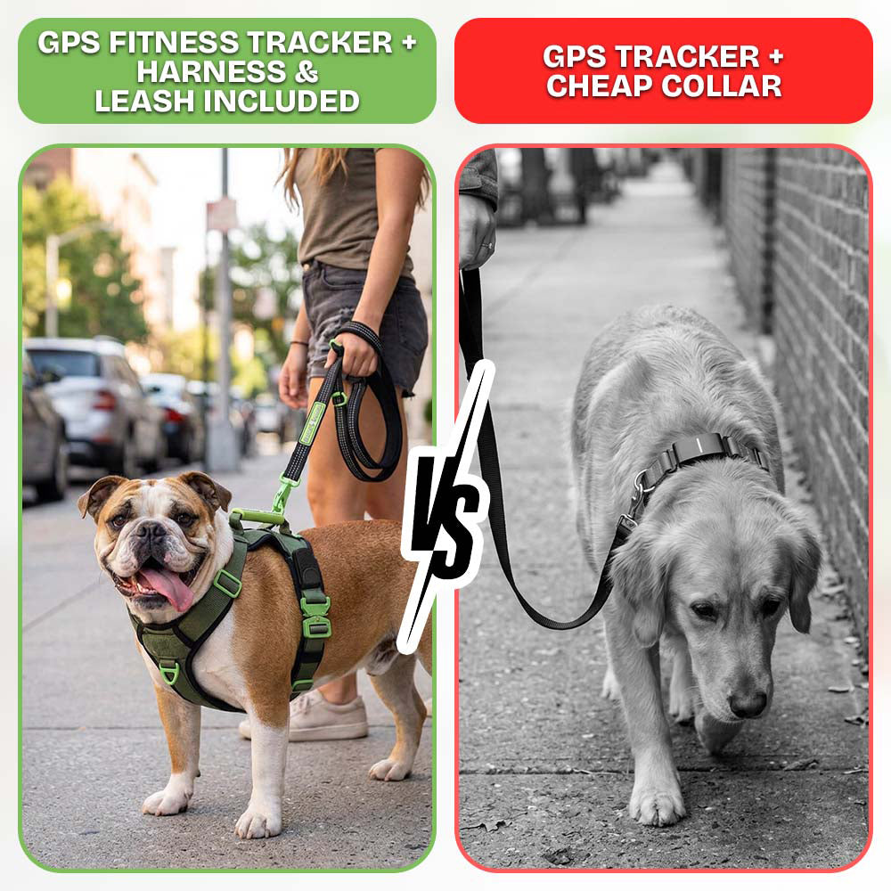 Healthy Harness FITNESS TRACKER (New Product Launching Summer'26)