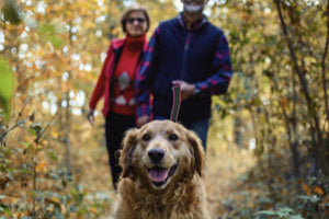 ABSOLUTE ADVENTURE Harness lifestyle image