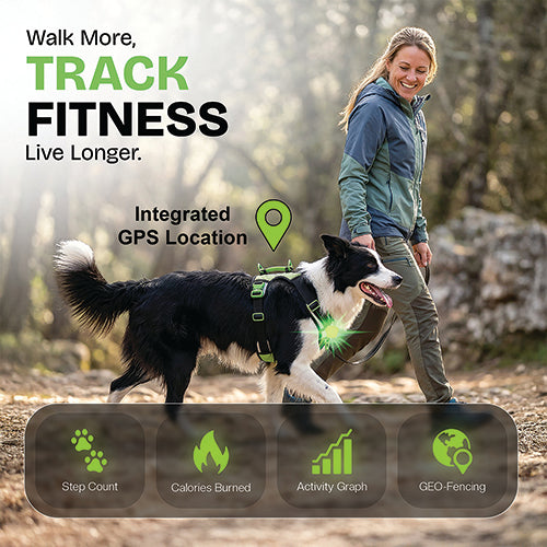 Healthy Harness FITNESS TRACKER (New Product Launching Summer'26)