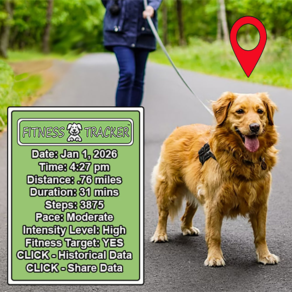 Healthy Harness FITNESS TRACKER