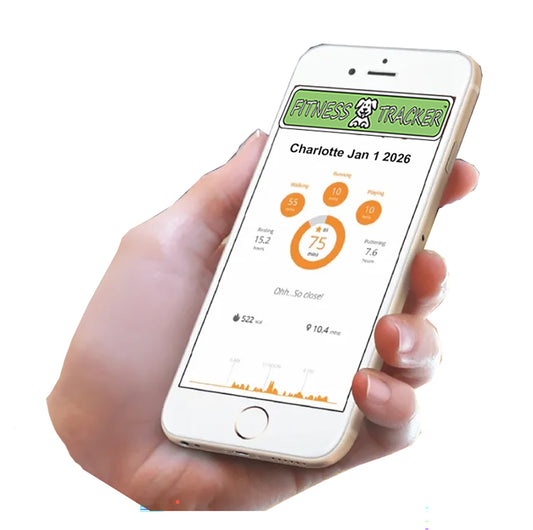 Healthy Harness FITNESS TRACKER