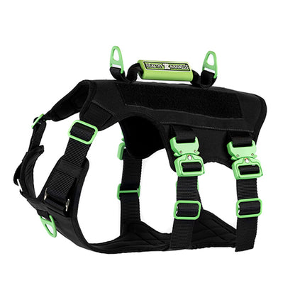 ABSOLUTE ADVENTURE DOG HARNESS