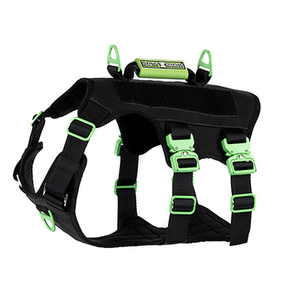 ABSOLUTE ADVENTURE Harness