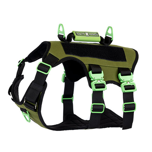 ABSOLUTE ADVENTURE DOG HARNESS