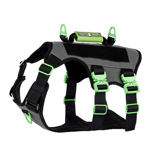 ABSOLUTE ADVENTURE DOG HARNESS