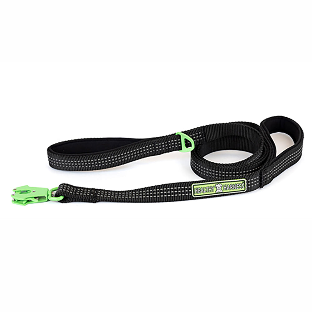 LEASHES