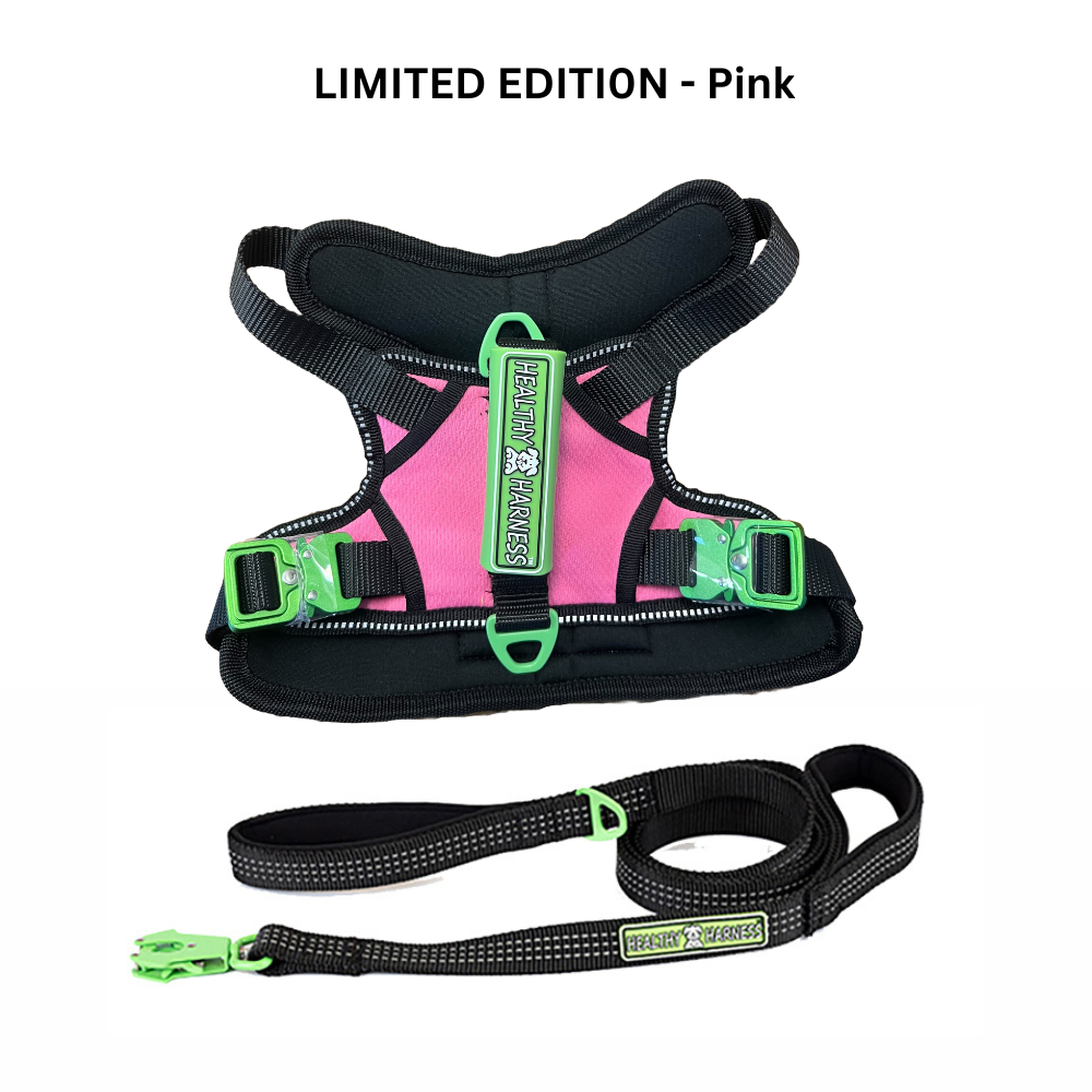 SUPREME SPORT Harness and STRAP LEASH Bundle