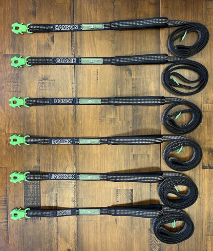 Healthy Harness Leash with FREE CUSTOMIZATION