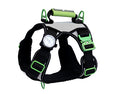 Load image into Gallery viewer, Healthy Harness NITE Lite
