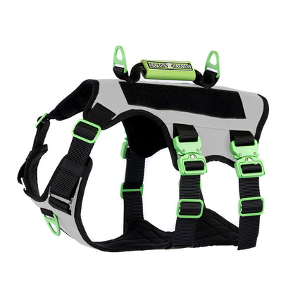 ABSOLUTE ADVENTURE Harness