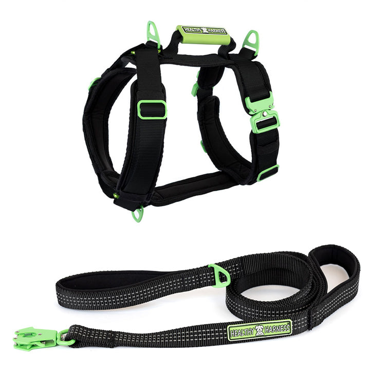 ULTIMATE URBAN Harness and FREE LEASH