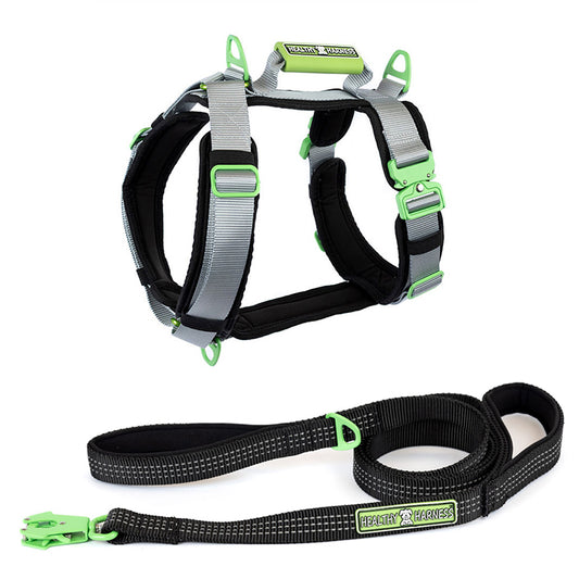 ULTIMATE URBAN Harness and FREE LEASH