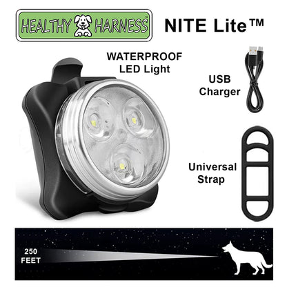ULTIMATE URBAN Harness and STRAP LEASH and NITE Lite Bundle