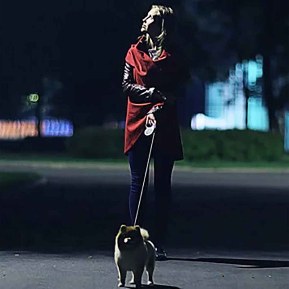 ULTIMATE URBAN Harness and STRAP LEASH and NITE Lite Bundle media