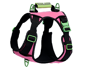 SUPREME SPORT Harness