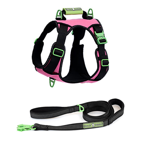 SUPREME SPORT Harness and STRAP LEASH Bundle