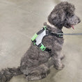 Load image into Gallery viewer, SUPREME SPORT Harness and STRAP LEASH Bundle
