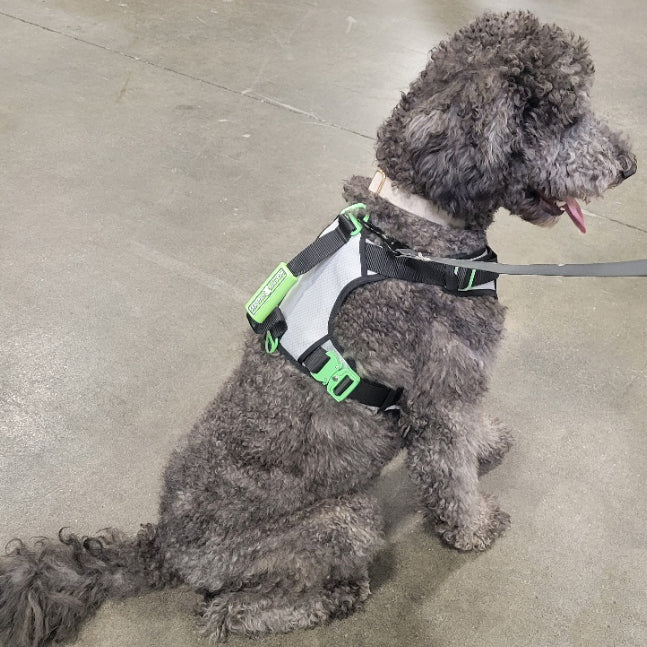 SUPREME SPORT Harness and STRAP LEASH Bundle