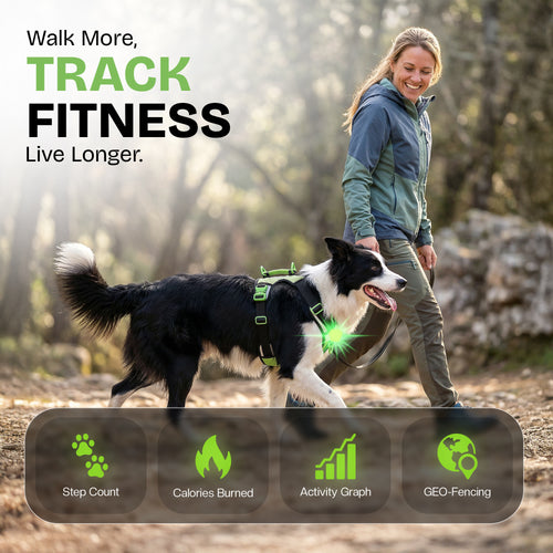 Healthy Harness FITNESS TRACKER