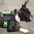 Load image into Gallery viewer, SUPREME SPORT Harness
