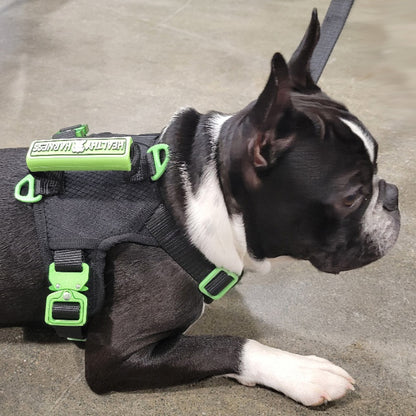 SUPREME SPORT Harness