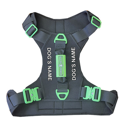 Healthy Harness CUSTOMIZATION