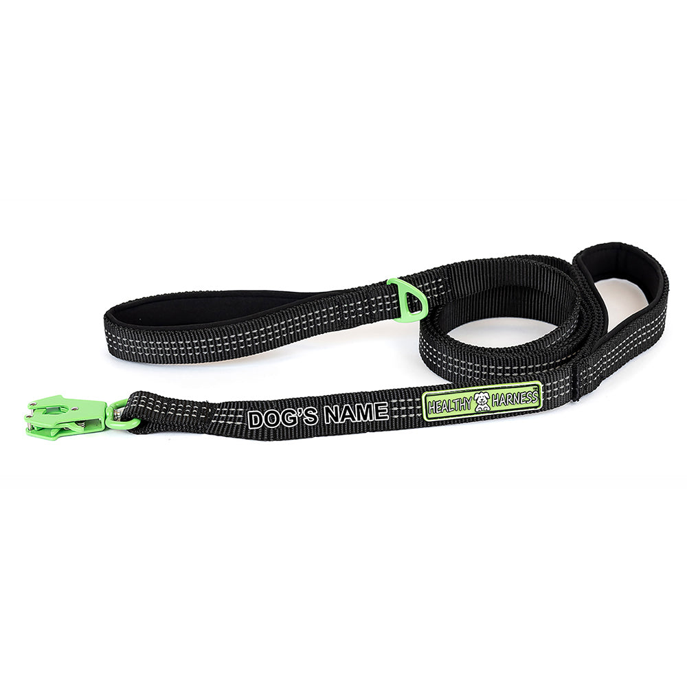 Healthy Harness LEASH CUSTOMIZATION (Strap Leash ONLY)