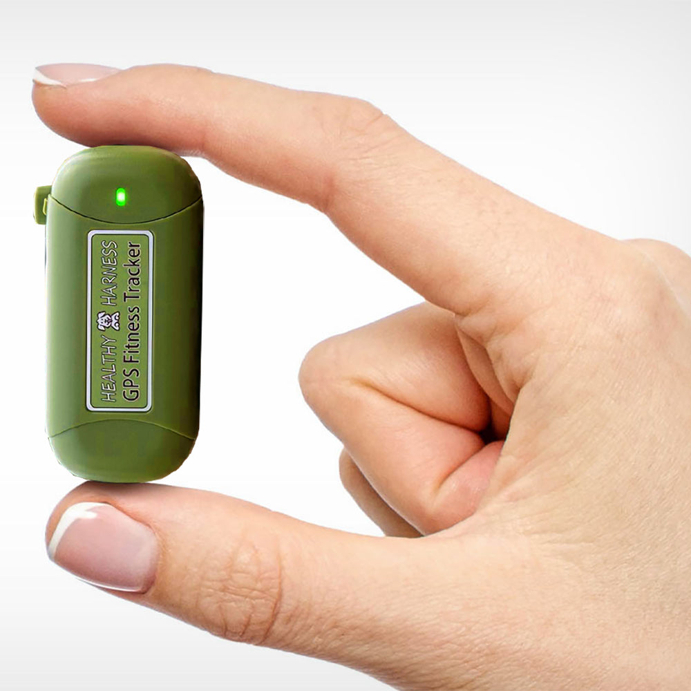 Healthy Harness FITNESS TRACKER (New Product Launching Summer'26)