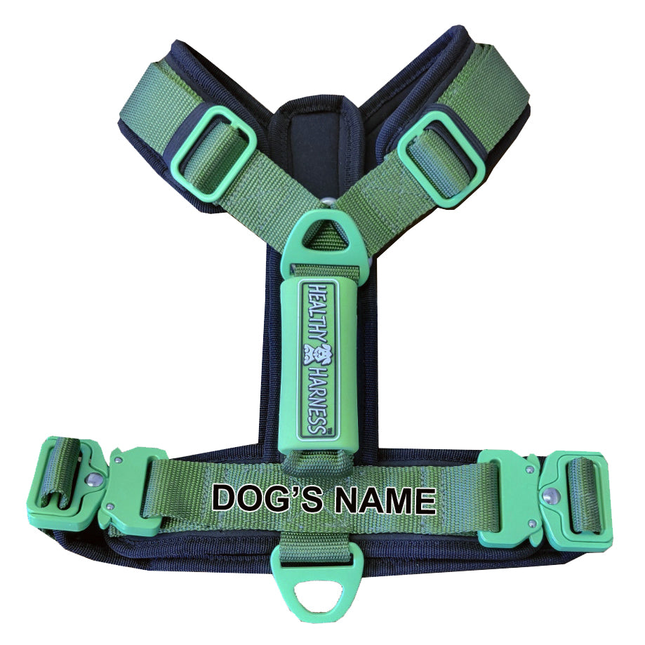 ULTIMATE URBAN DOG HARNESS