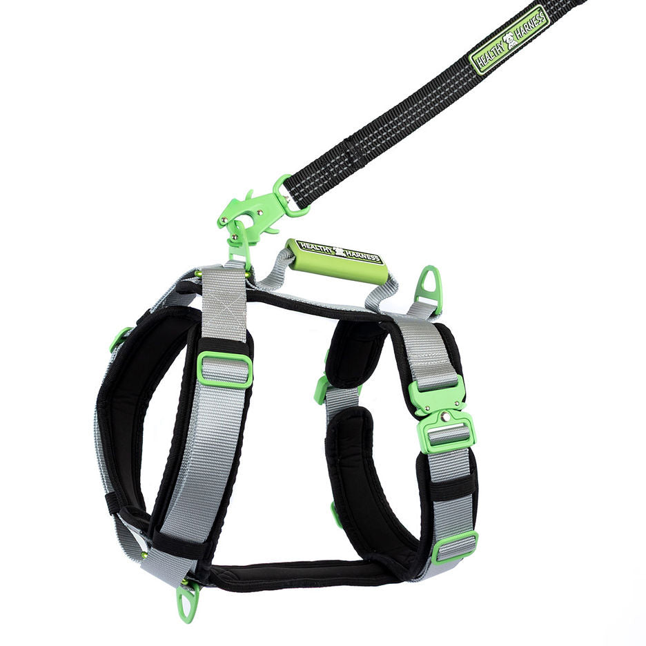 ULTIMATE URBAN Harness and FREE LEASH