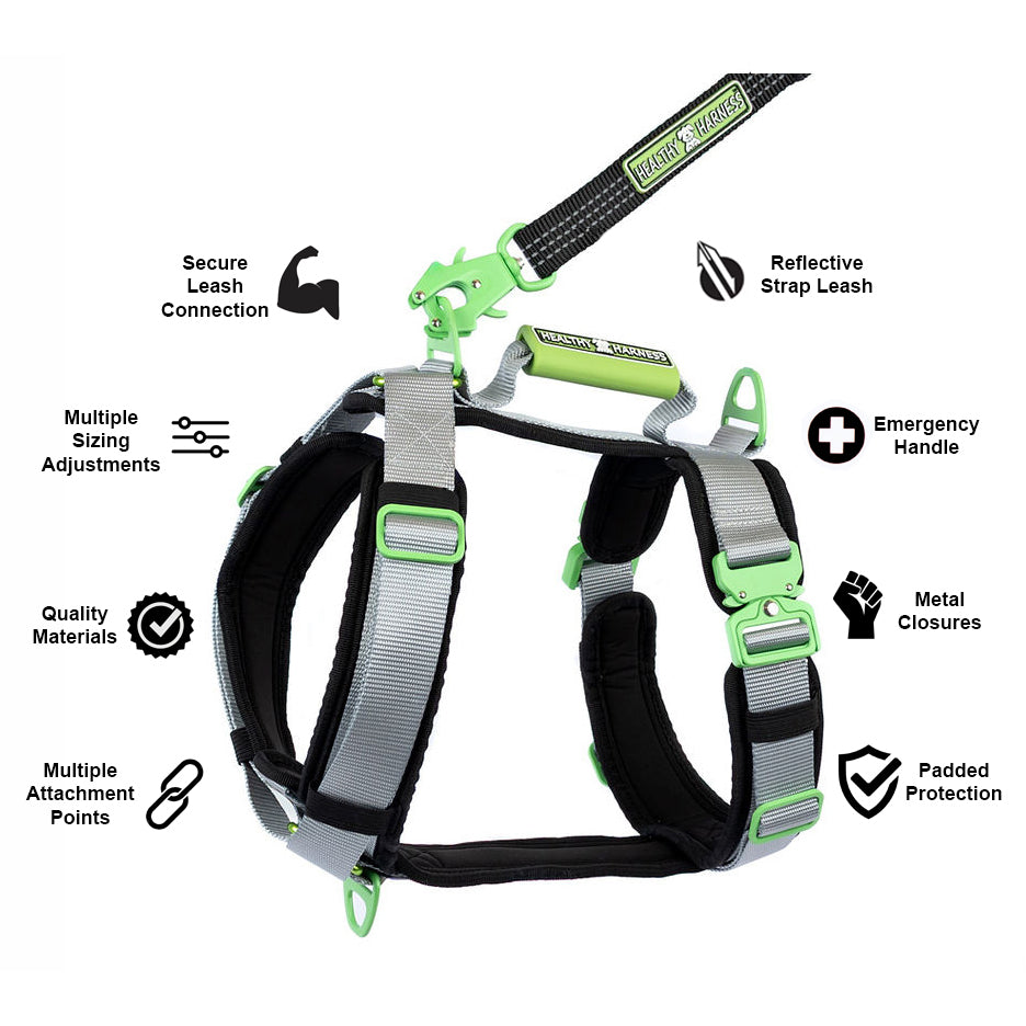 ULTIMATE URBAN Harness and FREE LEASH
