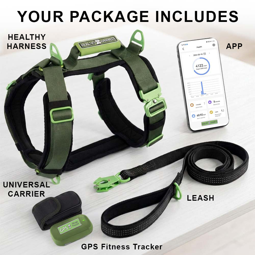 Healthy Harness FITNESS TRACKER (New Product Launching Summer'26)