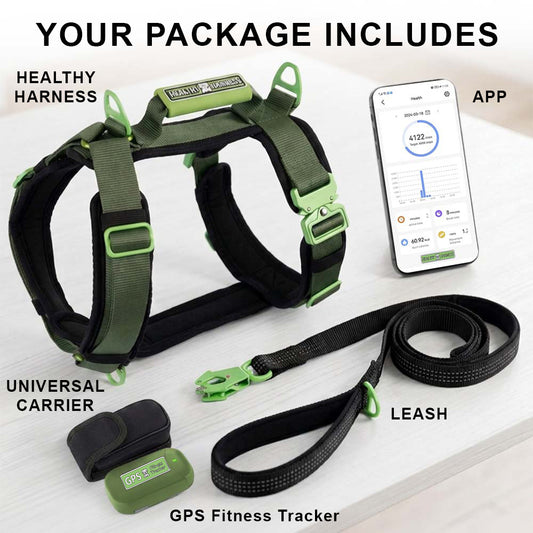 Healthy Harness FITNESS TRACKER (New Product Launching Summer'26)