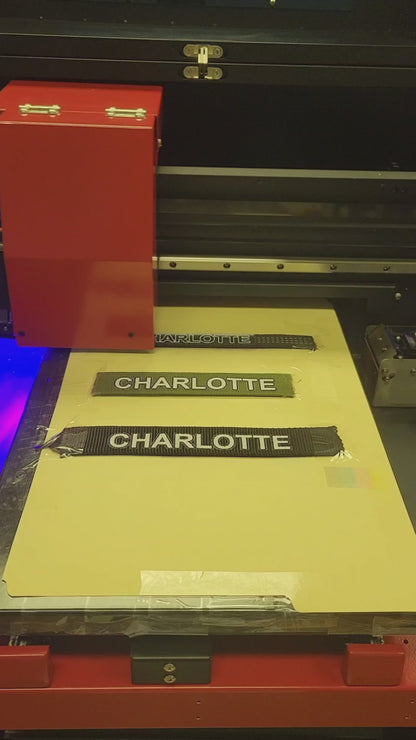 Healthy Harness Leash with FREE CUSTOMIZATION