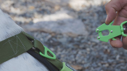 Healthy Harness ROPE LEASH